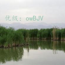 û